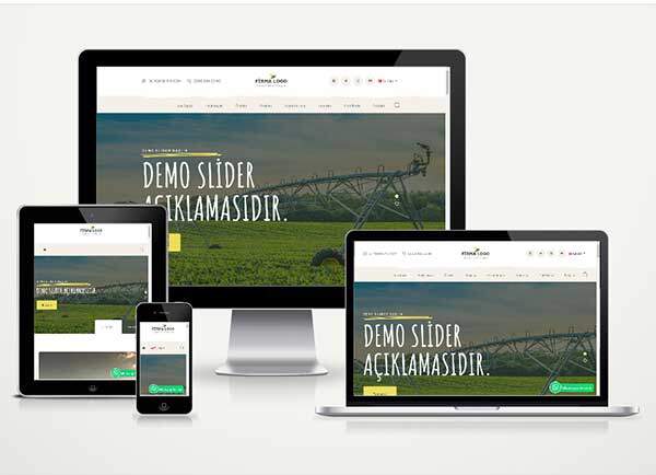 Dış Ticaret Web Sitesi PRO DZG034