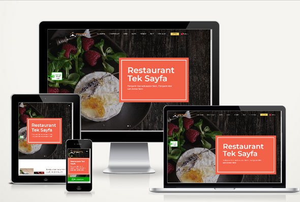 Restaurant Lokanta WEb Sitesi DZG308